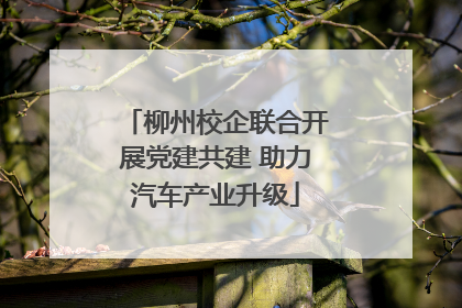 柳州校企联合开展党建共建 助力汽车产业升级