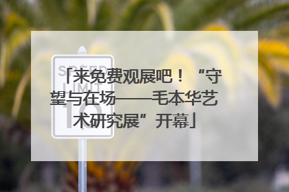 来免费观展吧！“守望与在场——毛本华艺术研究展”开幕