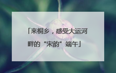 来桐乡，感受大运河畔的“宋韵”端午
