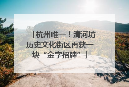 杭州唯一！清河坊历史文化街区再获一块“金字招牌”