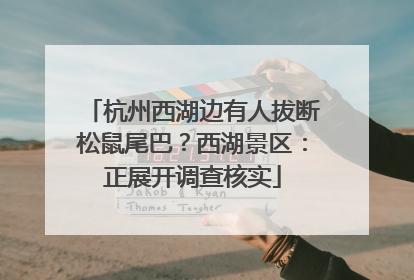 杭州西湖边有人拔断松鼠尾巴？西湖景区：正展开调查核实