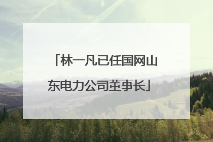 林一凡已任国网山东电力公司董事长