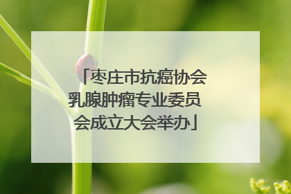 枣庄市抗癌协会乳腺肿瘤专业委员会成立大会举办
