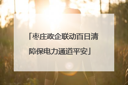 枣庄政企联动百日清障保电力通道平安