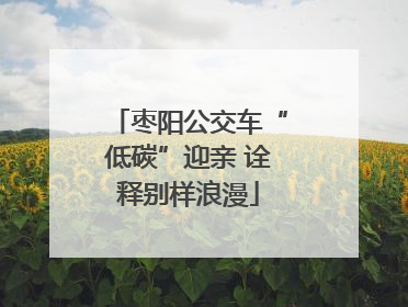 枣阳公交车“低碳”迎亲 诠释别样浪漫