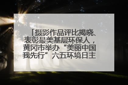 摄影作品评比揭晓、表彰最美基层环保人，黄冈市举办“美丽中国我先行”六五环境日主题宣传活动