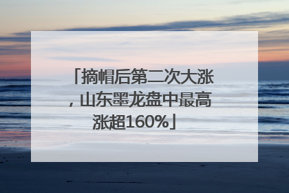 摘帽后第二次大涨，山东墨龙盘中最高涨超160%