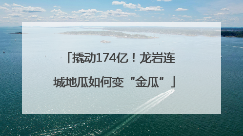 撬动174亿！龙岩连城地瓜如何变“金瓜”