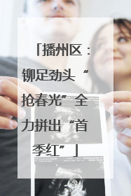 播州区：铆足劲头“抢春光”全力拼出“首季红”
