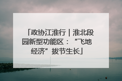 政协江淮行｜淮北段园新型功能区：“飞地经济”拔节生长