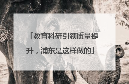 教育科研引领质量提升，浦东是这样做的
