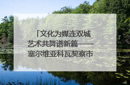 文化为媒连双城 艺术共舞谱新篇——塞尔维亚科瓦契察市代表团访问日照