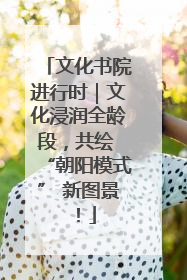 文化书院进行时｜文化浸润全龄段，共绘 “朝阳模式” 新图景！
