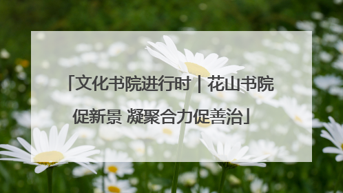 文化书院进行时｜花山书院促新景 凝聚合力促善治