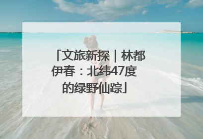 文旅新探｜林都伊春：北纬47度的绿野仙踪