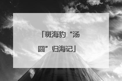 斑海豹“汤圆”归海记
