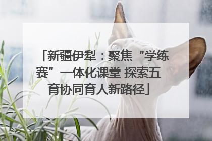 新疆伊犁：聚焦“学练赛”一体化课堂 探索五育协同育人新路径