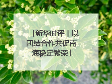 新华时评丨以团结合作共促南海稳定繁荣