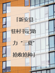 新安县：驻村书记助力“三夏”抢收抢种
