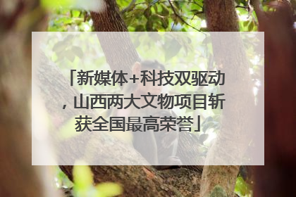 新媒体+科技双驱动，山西两大文物项目斩获全国最高荣誉