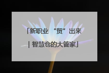 新职业 “贸”出来｜智慧仓的大管家