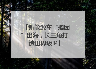 新能源车“抱团”出海，长三角打造世界级IP