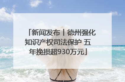 新闻发布丨德州强化知识产权司法保护 五年挽损超930万元