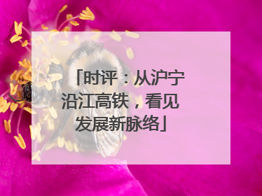 时评：从沪宁沿江高铁，看见发展新脉络