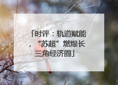 时评：轨道赋能，“苏超”燃爆长三角经济圈