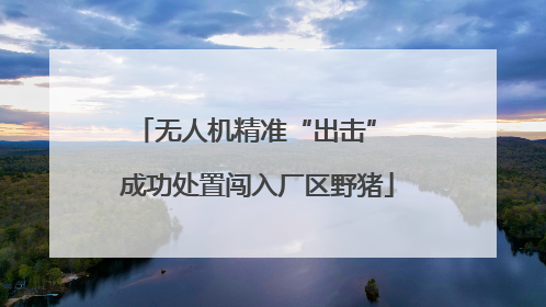 无人机精准“出击” 成功处置闯入厂区野猪