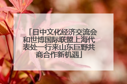 日中文化经济交流会和世博国际联盟上海代表处一行来山东巨野共商合作新机遇