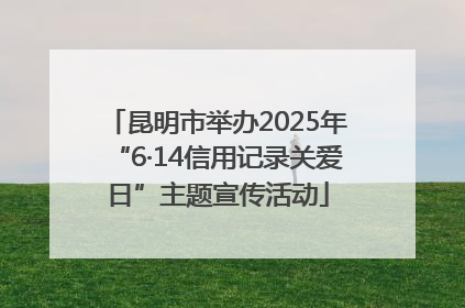 昆明市举办2025年“6·14信用记录关爱日”主题宣传活动