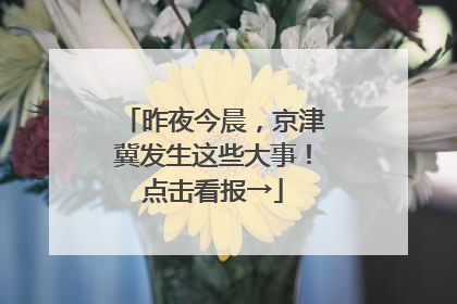 昨夜今晨，京津冀发生这些大事！点击看报→