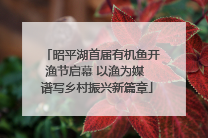 昭平湖首届有机鱼开渔节启幕 以渔为媒 谱写乡村振兴新篇章