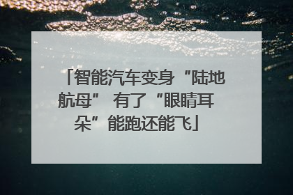 智能汽车变身“陆地航母” 有了“眼睛耳朵”能跑还能飞