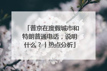普京在度假城市和特朗普通电话，说明什么？丨热点分析