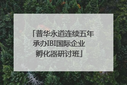 普华永道连续五年承办IBI国际企业孵化器研讨班