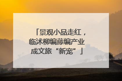 景观小品走红，临沭柳编藤编产业成文旅“新宠”
