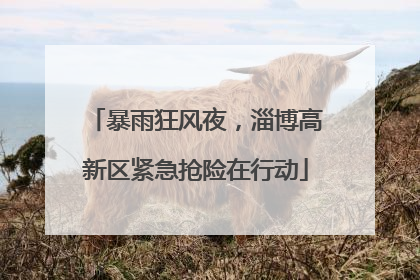 暴雨狂风夜，淄博高新区紧急抢险在行动