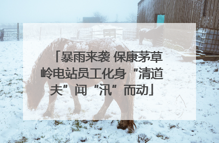 暴雨来袭 保康茅草岭电站员工化身“清道夫”闻“汛”而动