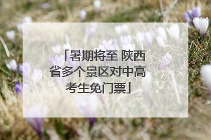 暑期将至 陕西省多个景区对中高考生免门票