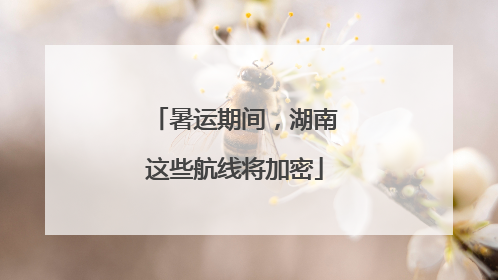 暑运期间，湖南这些航线将加密