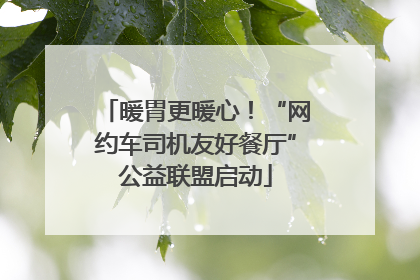 暖胃更暖心！“网约车司机友好餐厅”公益联盟启动