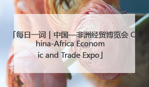 每日一词｜中国—非洲经贸博览会 China-Africa Economic and Trade Expo