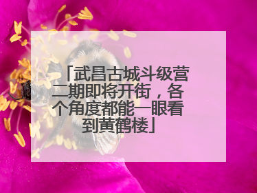 武昌古城斗级营二期即将开街，各个角度都能一眼看到黄鹤楼