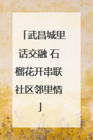 武昌城里话交融 石榴花开串联社区邻里情