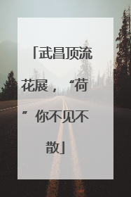 武昌顶流花展，“荷”你不见不散