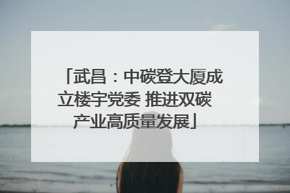 武昌：中碳登大厦成立楼宇党委 推进双碳产业高质量发展