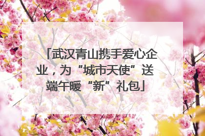 武汉青山携手爱心企业，为“城市天使”送端午暖“新”礼包