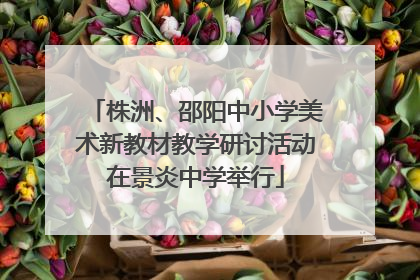 株洲、邵阳中小学美术新教材教学研讨活动在景炎中学举行
